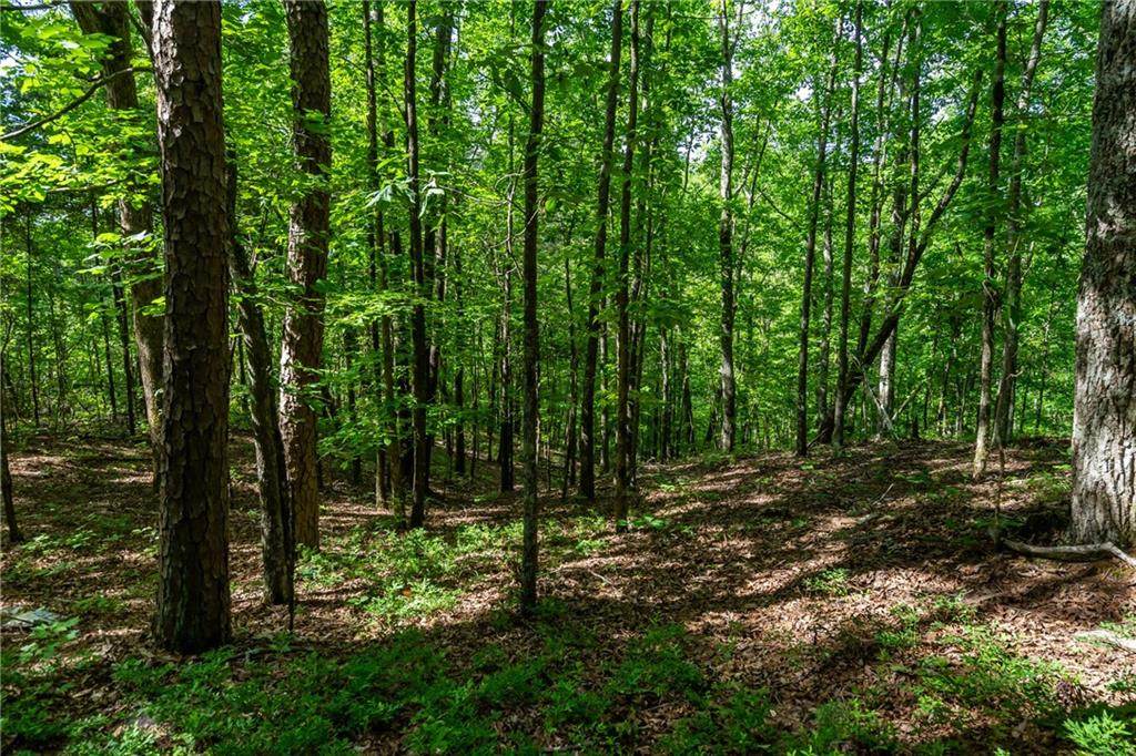 00 Long Branch Trail - Photo 1