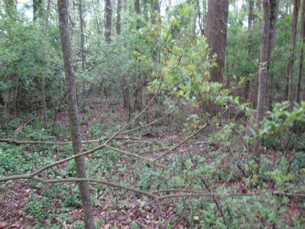 220 Old Princeton Road - Photo 1