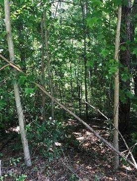 304 Peach Blossom Place - Photo 1