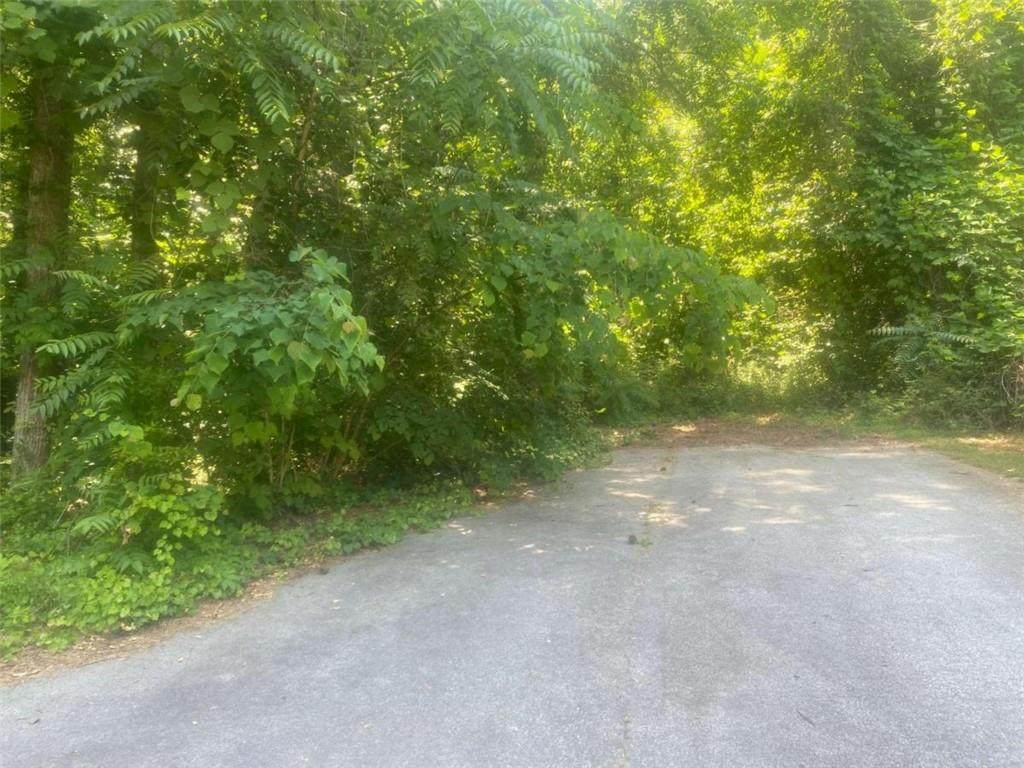 0 Milton Trail - Photo 1