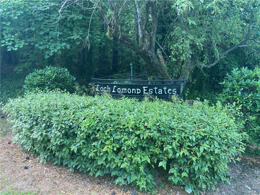 0 Loch Lomond Trail - Photo 1