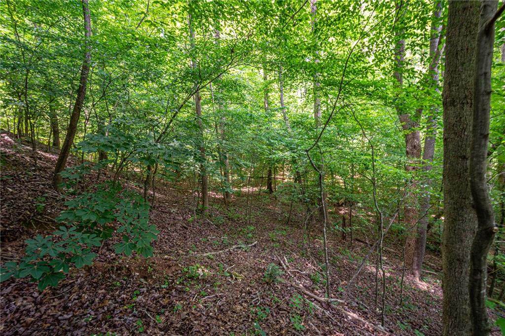 0 Hamp Mill Road - Photo 1
