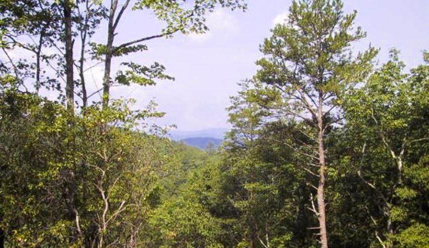 0 Trotters Ridge, Lot 10 - Photo 1
