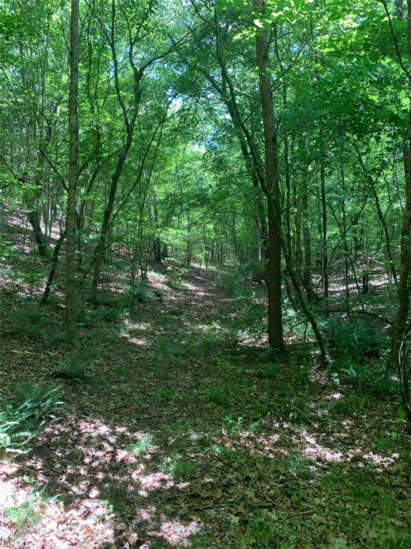588 Lick Creek Road - Photo 1
