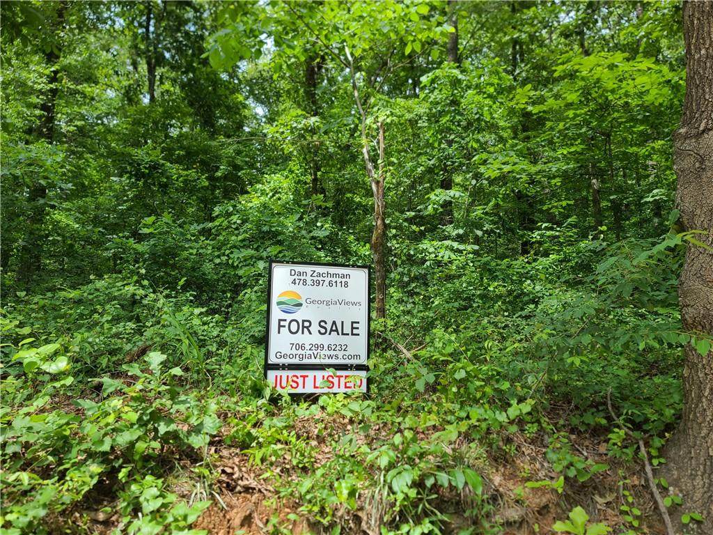 6250 Austin Bridge Road - Photo 1