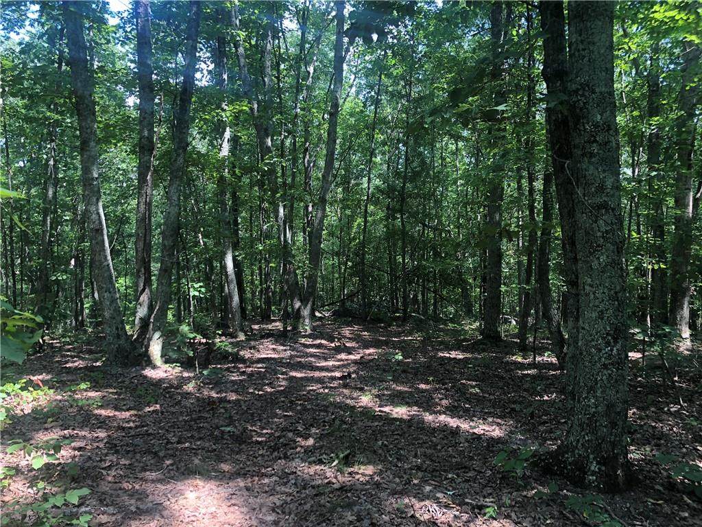 0 Highway 20 - Photo 1
