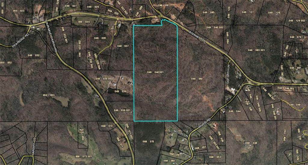 79Acre Hwy 53 - Photo 1