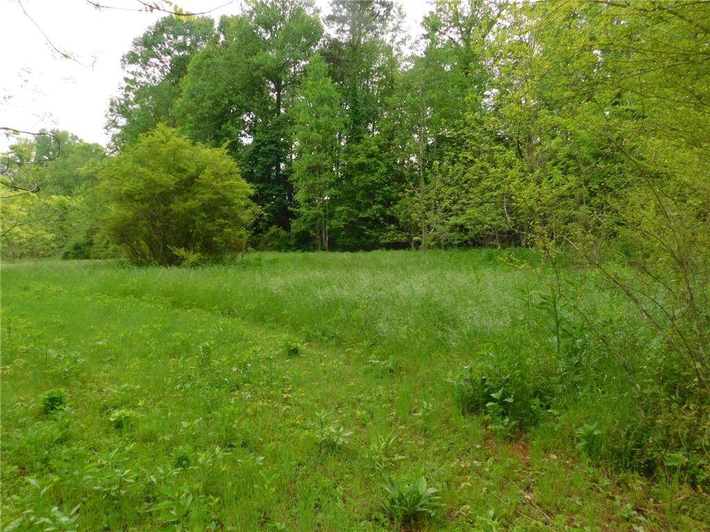 0 Gold Cove Drive Road - Photo 1