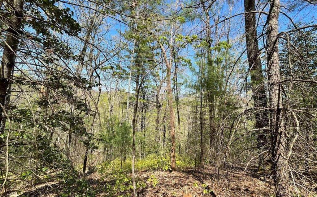 Lot 5 Soapstone Creek Circle - Photo 1