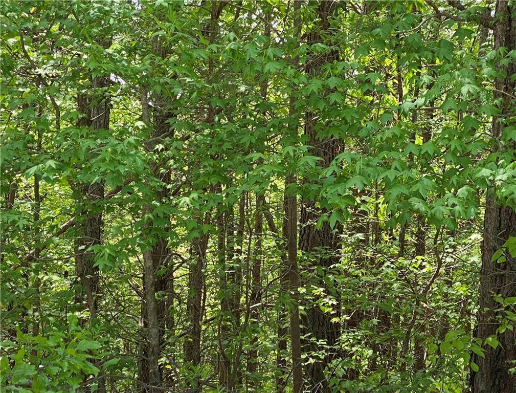 00 Hemlock Drive - Photo 1