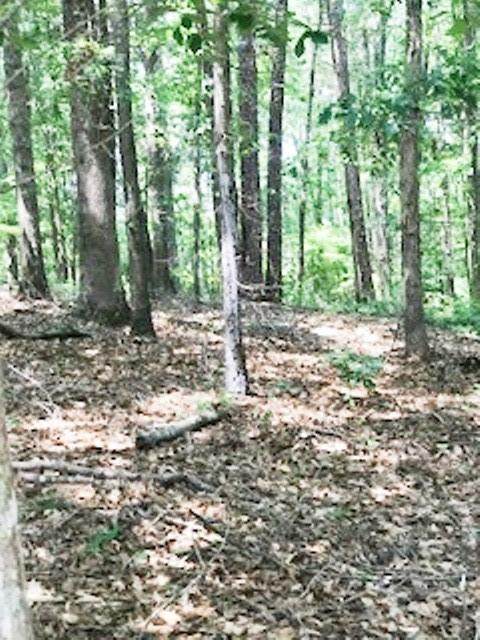 Tra 3 Maple Park Drive - Photo 1