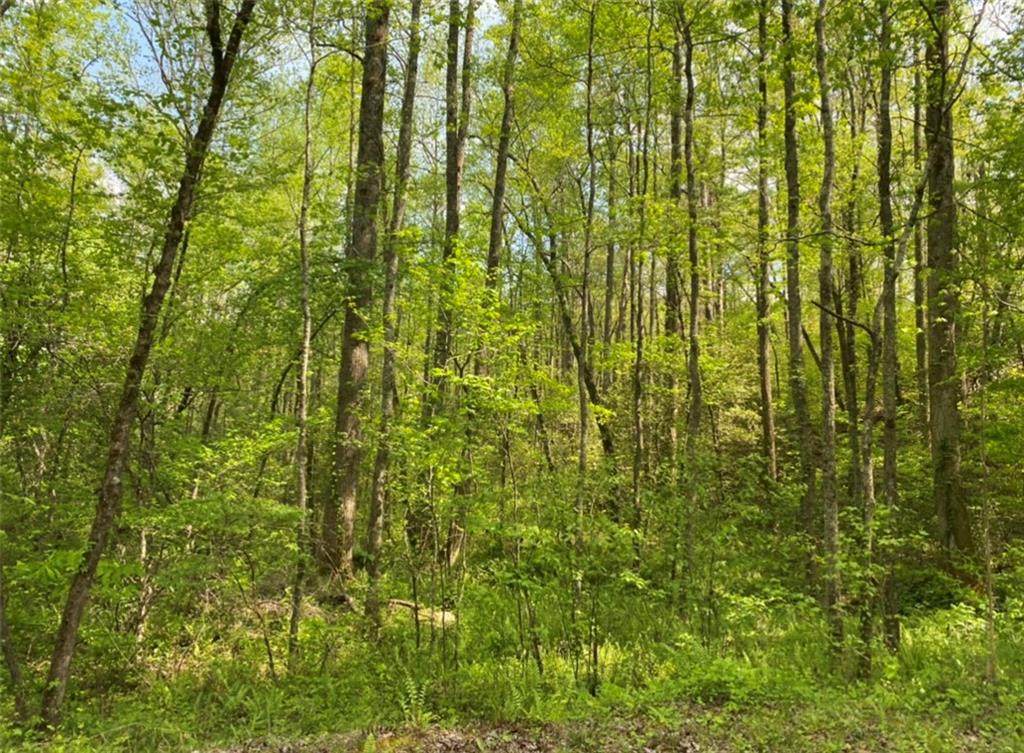00 Poplar Lot 6 Drive - Photo 1