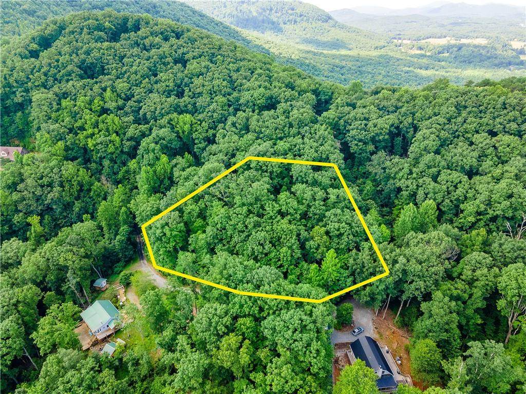 183 Bald Eagle Path - Photo 1