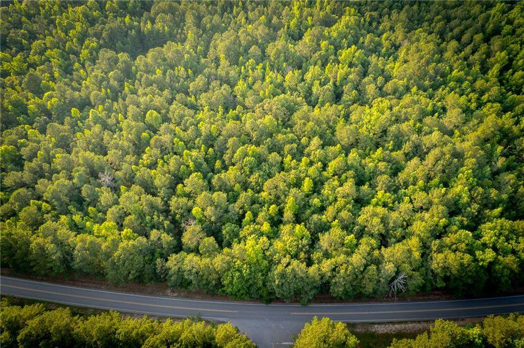 4240 Georgia Highway 186 - Photo 1
