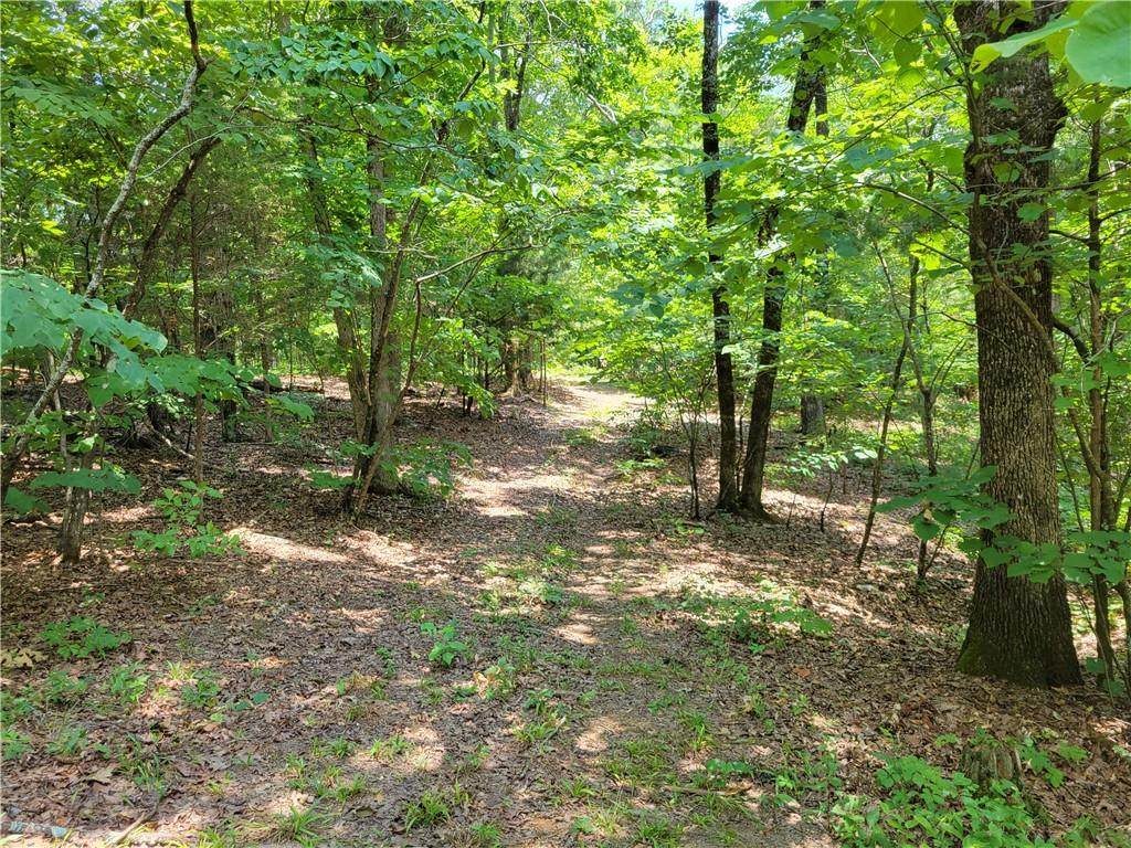 0 Hwy 411 - Photo 1