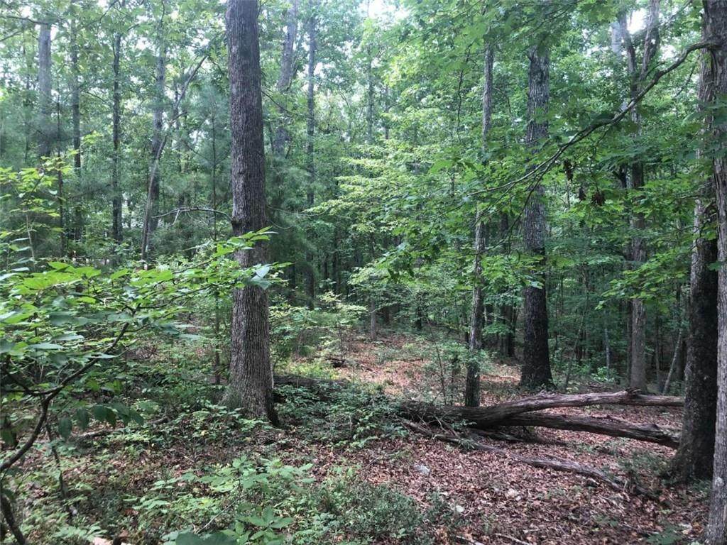 0 Lexington Lane - Photo 1