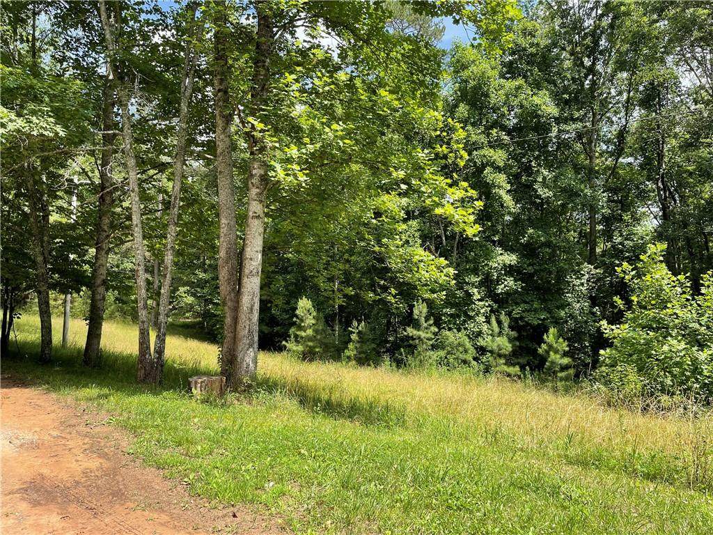428 Garrett Branch Road - Photo 1