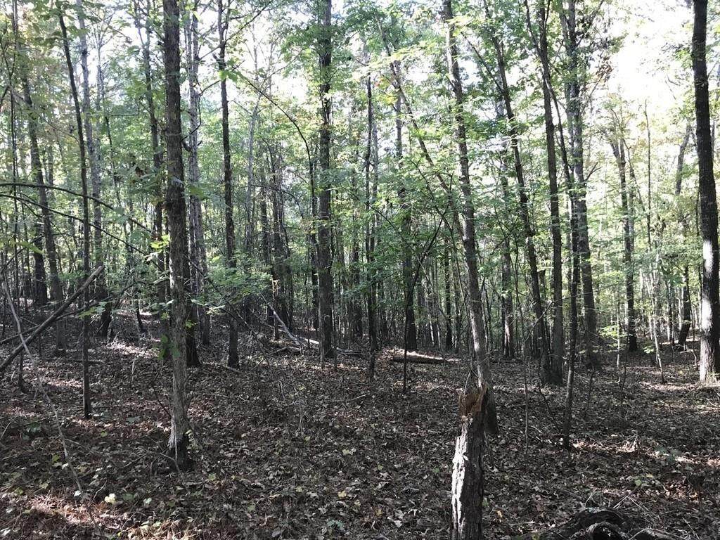 0 Harmony Grove Church Road - Photo 1