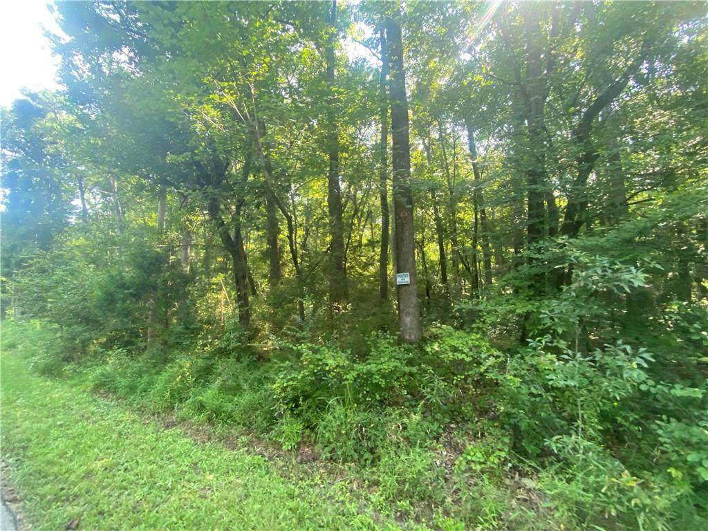 4442 Berline Drive - Photo 1