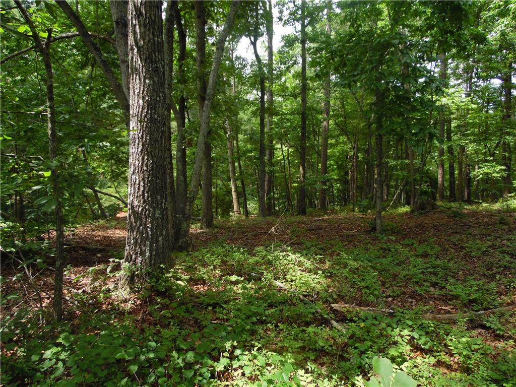 3350 Lanier Circle - Photo 1