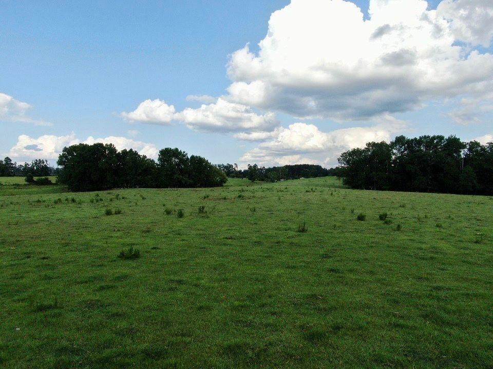 0 Billy Merritt Road - Photo 1