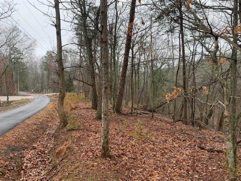 00 Sharptop Mountain Trail - Photo 1