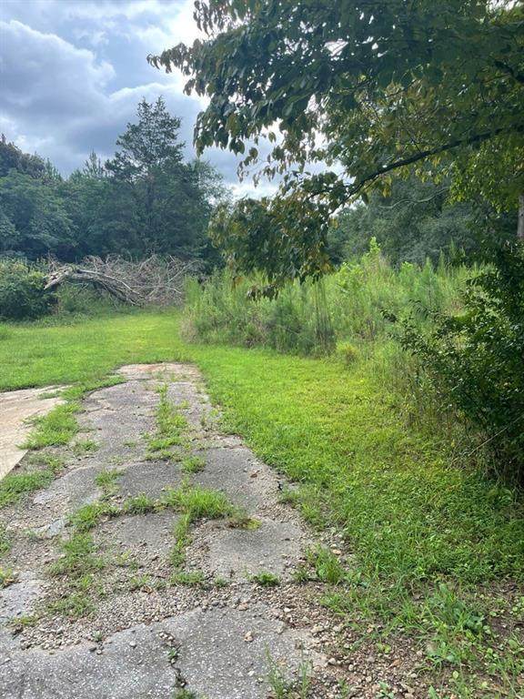 4146 Grant Road - Photo 1