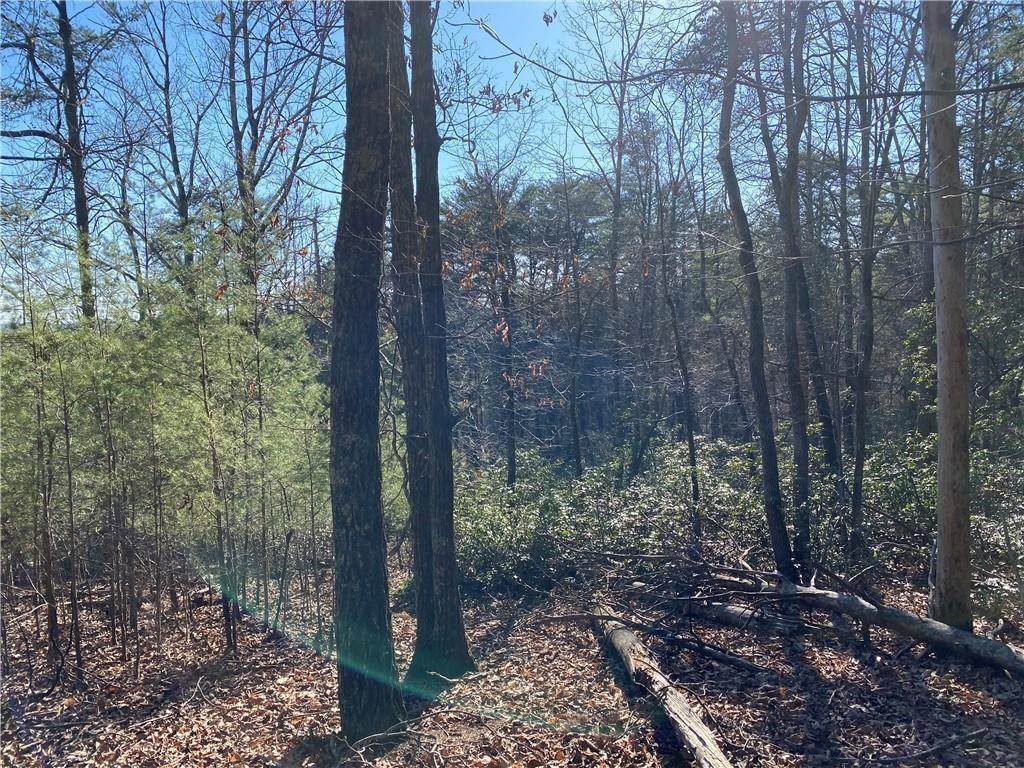6 Crown Mountain Way - Photo 1