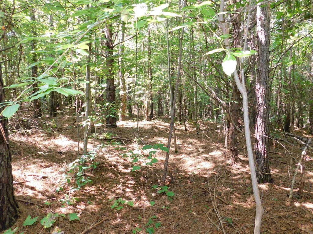 lot #6 Highway 52 West - Photo 1