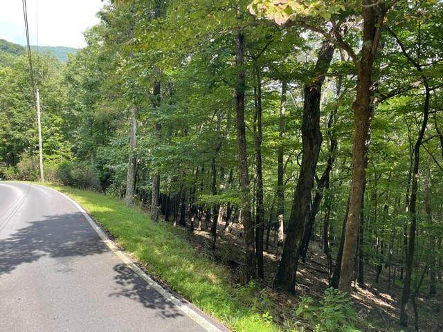 Lot866 Little Hendricks Mountain Road - Photo 1