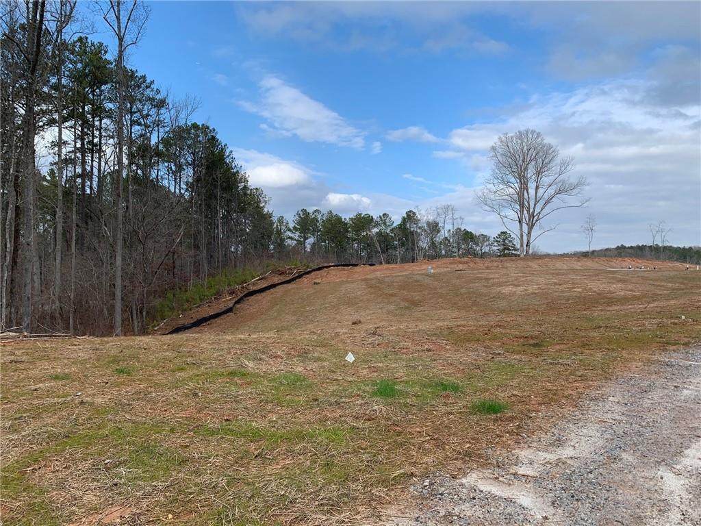 10350 Cedar Grove Road - Photo 1