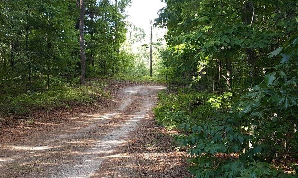 395 Hickory Nut Drive - Photo 1