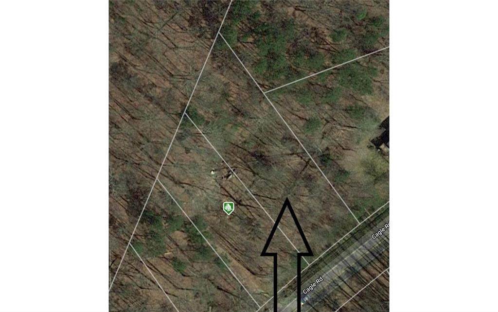 3351 Cagle Road - Photo 1
