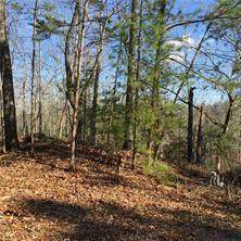 1377 Foxhound Trail - Photo 1