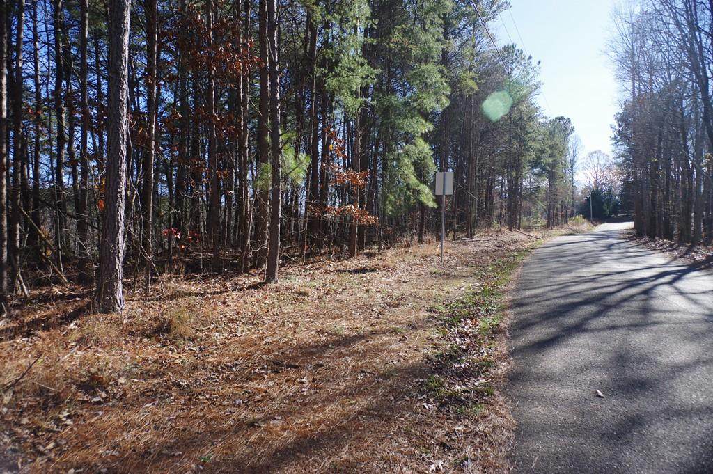 126 Bagwell Trail - Photo 1