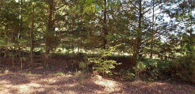 Lot 11 Arnold Caldwell Road - Photo 1