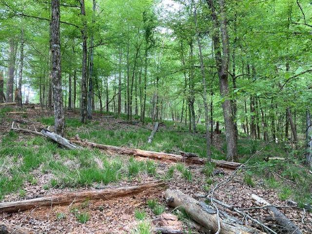 1381 Grayson Point Drive - Photo 1