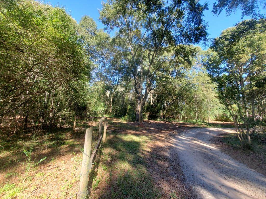 0C Village Pkwy Dr - Photo 1