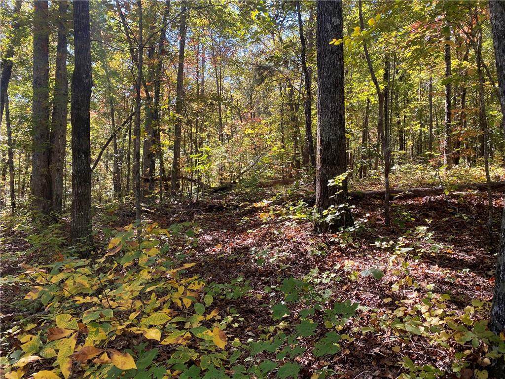 0 Harris Creek Drive - Photo 1