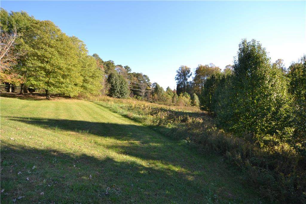 54 Appaloosa Drive - Photo 1