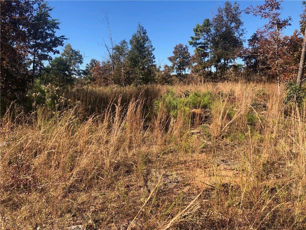 000 Carlan Road - Photo 1