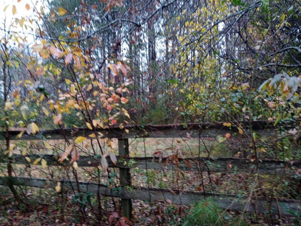 12720 Bethany Road - Photo 1