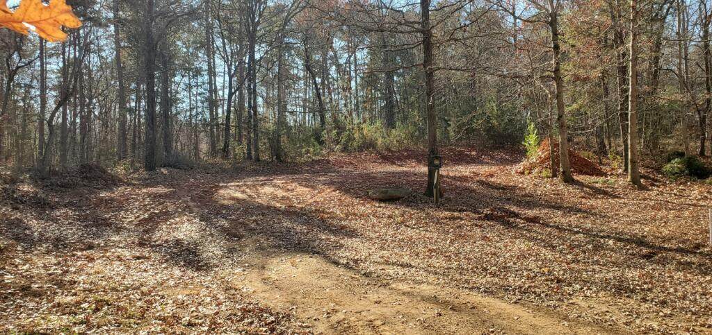 64 Wildwood Trail - Photo 1