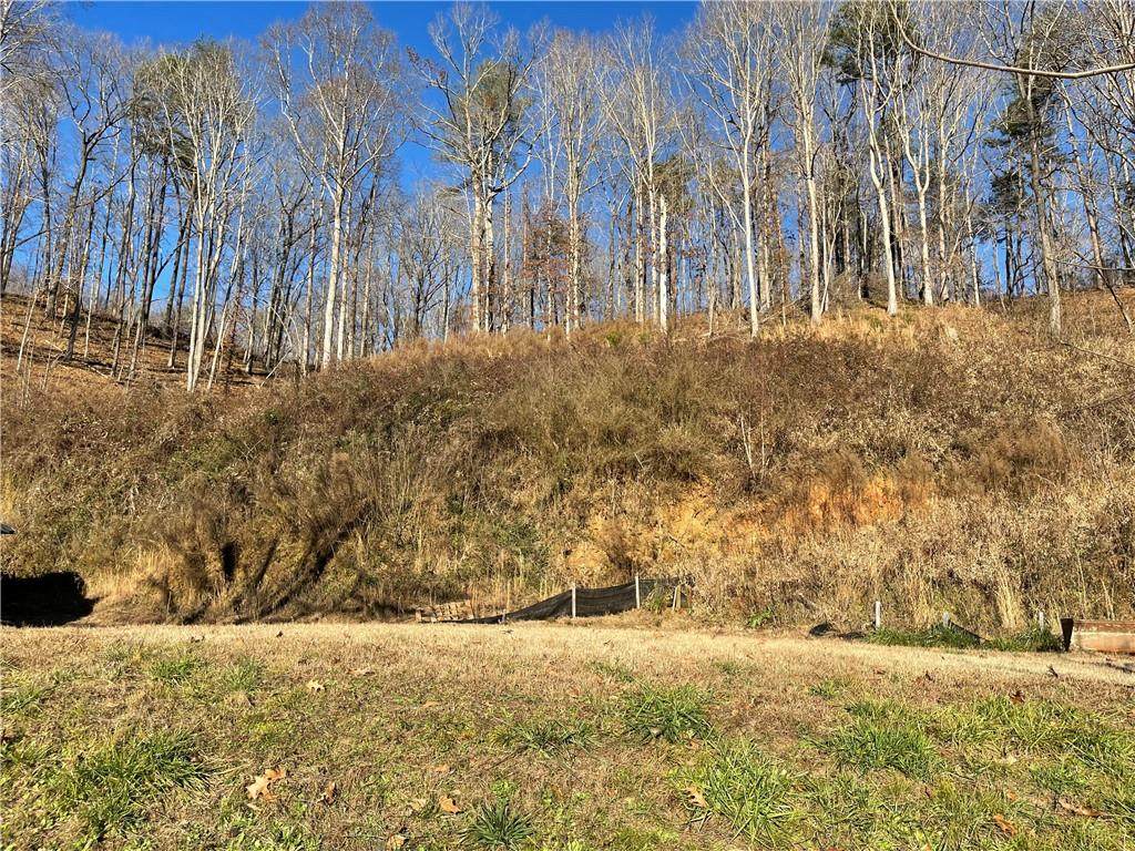 5195 Chestatee Street - Photo 1
