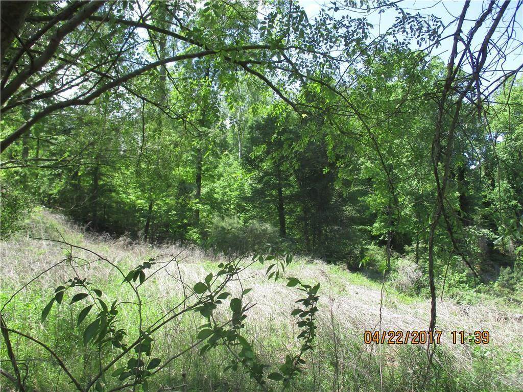1612 Mountain Shadow Trail - Photo 1