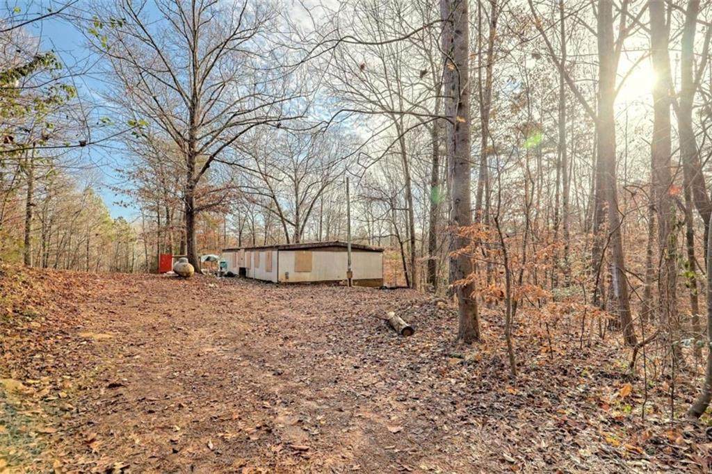 225 White Water Road - Photo 1
