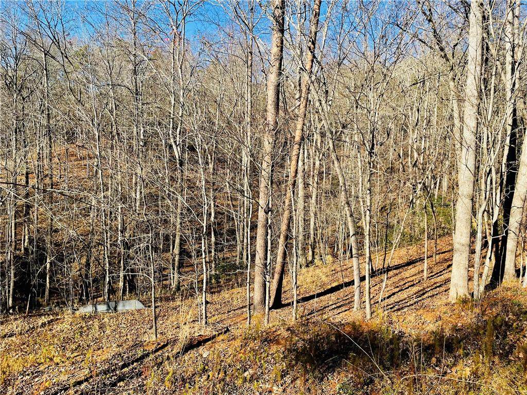 34/35 Crown Mountain Way - Photo 1