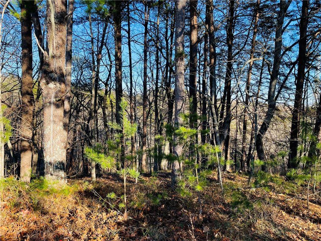 23/24 Crown Mountain Way - Photo 1