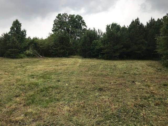 0 Piedmont Highway - Photo 1