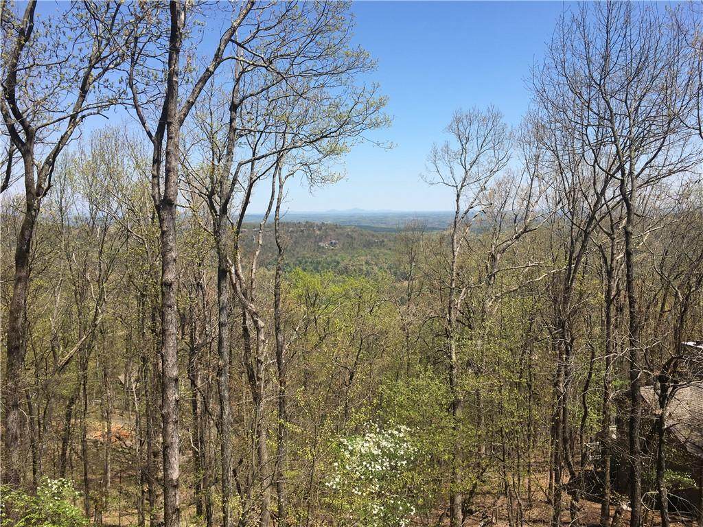 8116 Disharoon Drive - Photo 1